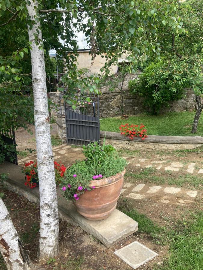 Borgo alla Collina “Da Paolino” 빌라 외부 사진