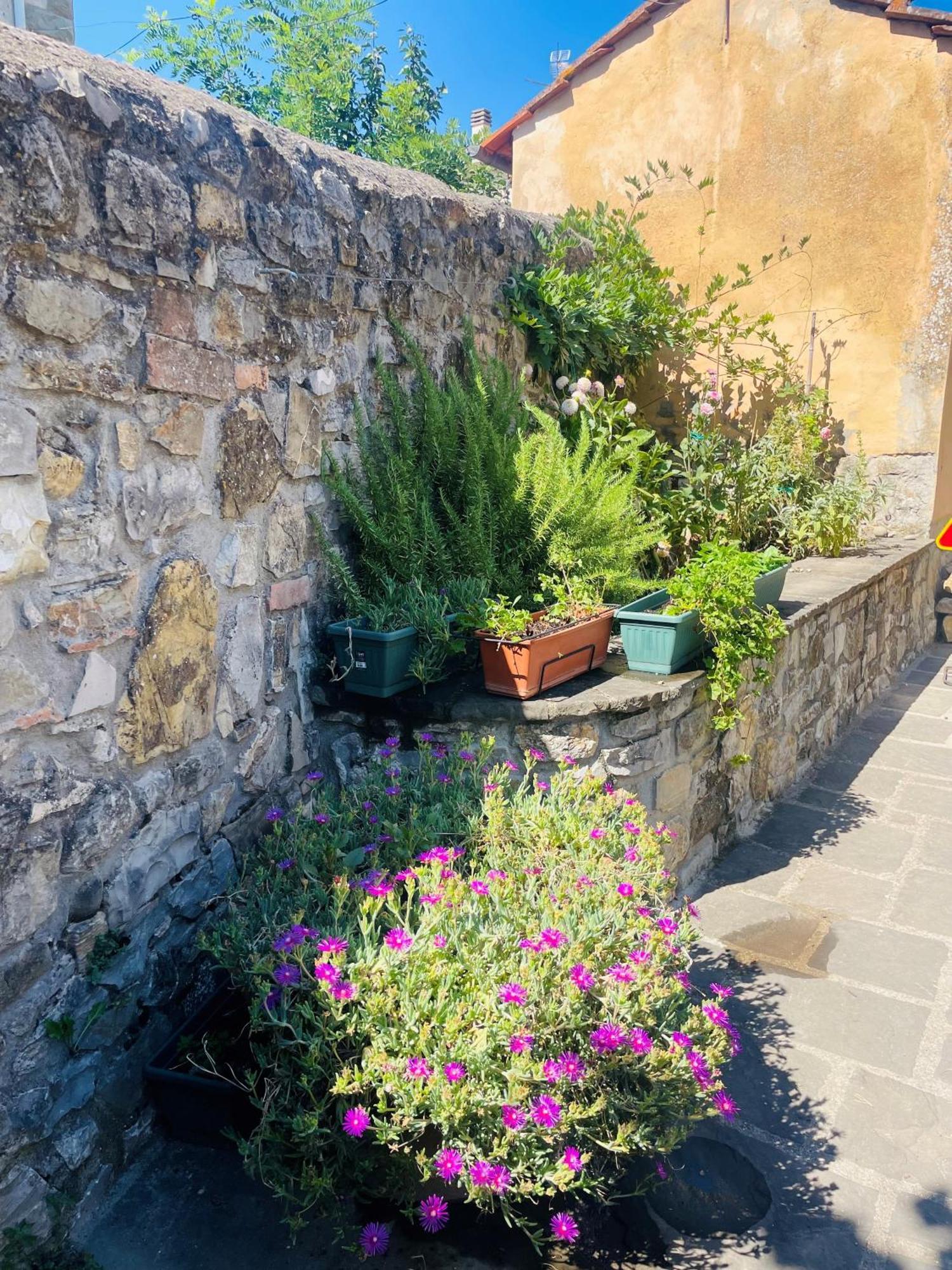 Borgo alla Collina “Da Paolino” 빌라 외부 사진